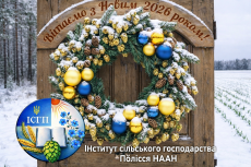 Вітаємо з Новим 2026 роком!